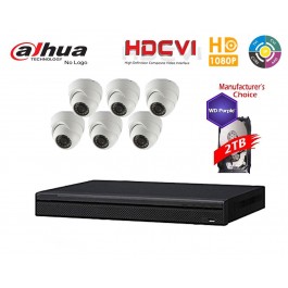 Dahua Penta-brid 1080P Security Package: 8CH XVR5108 w/2TB HDD+(6) 2MP Outdoor IR HDW1200M Eyeball